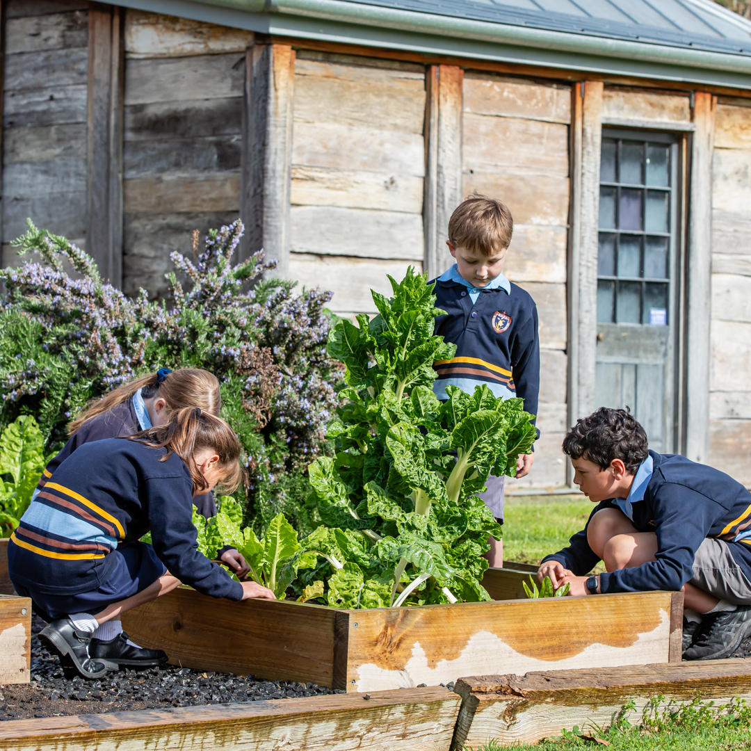 Mary MacKillop Memorial School 