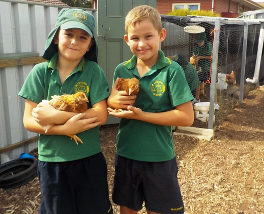 alex cohen with chickens.jpg