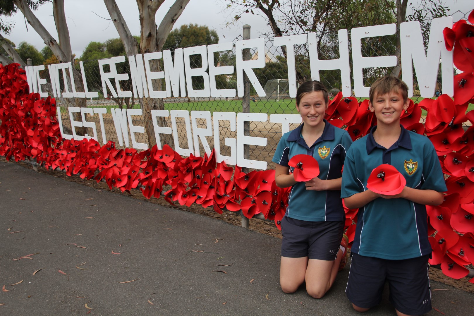 Port Lincoln poppies